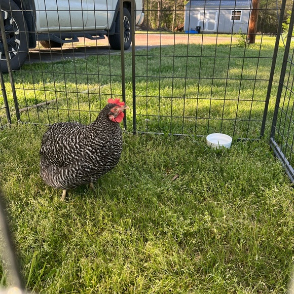 One Blue Crochet Headscarf Bandana - Picture 3 of 7